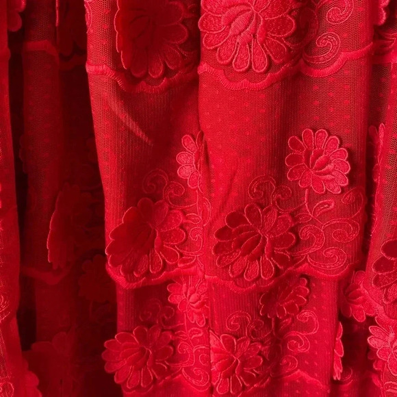 ANTHRO’ MONIQUE LHUILLIER | Red Floral Appliqué Tiered Lace Bella Dress Size 12 - Picture 6 of 10